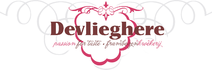 logo Devlieghere def transparent
