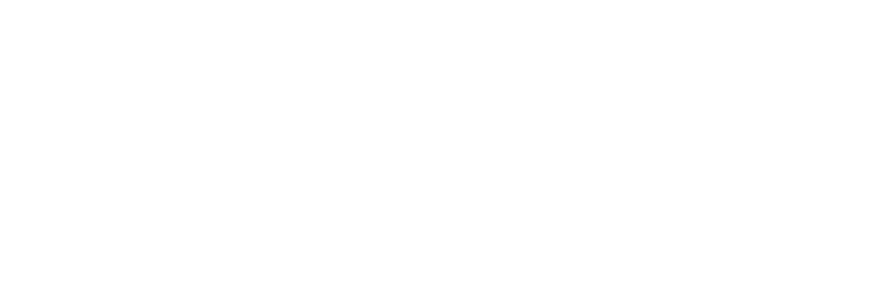 logo Devlieghere def white